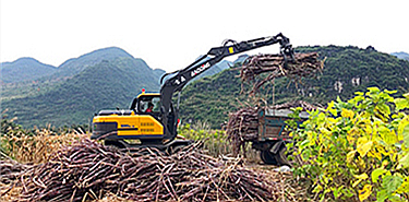 寶鼎95挖掘機(jī)抓木機(jī)工況圖