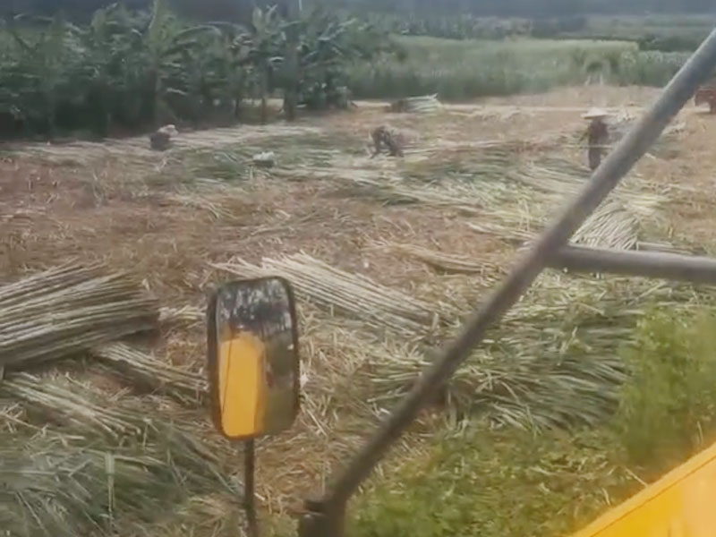 抓木機抓甘蔗