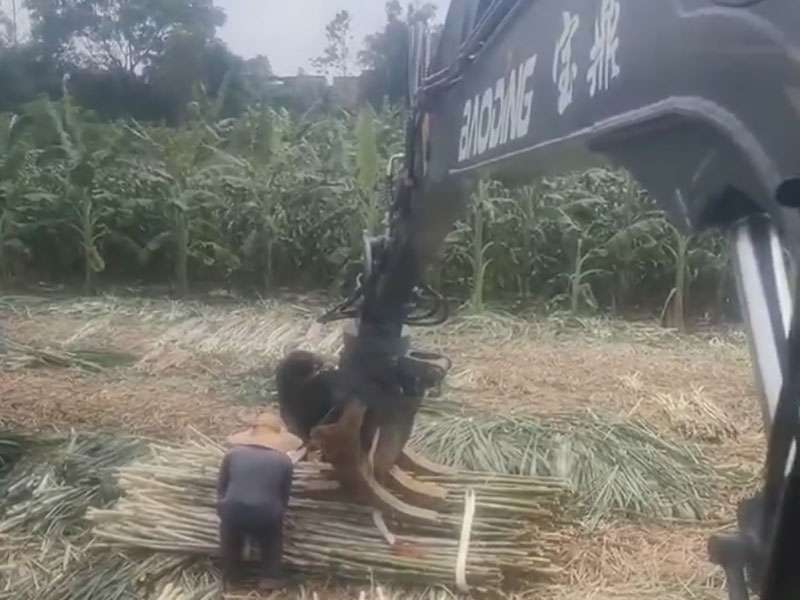 寶鼎抓木機(jī)助力甘蔗種植戶豐收無(wú)憂
