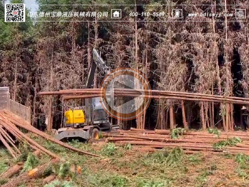 寶鼎抓木機(jī)視頻