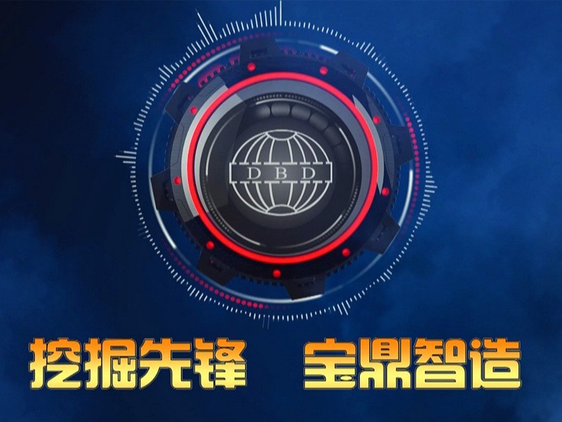 寶鼎輪式挖掘機(jī)抓木機(jī)廠家