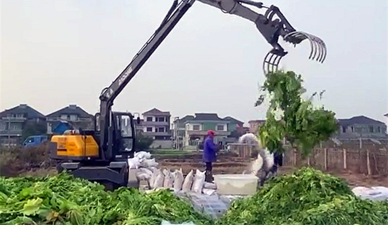 寶鼎定制型加長(zhǎng)臂輪式抓料機(jī)