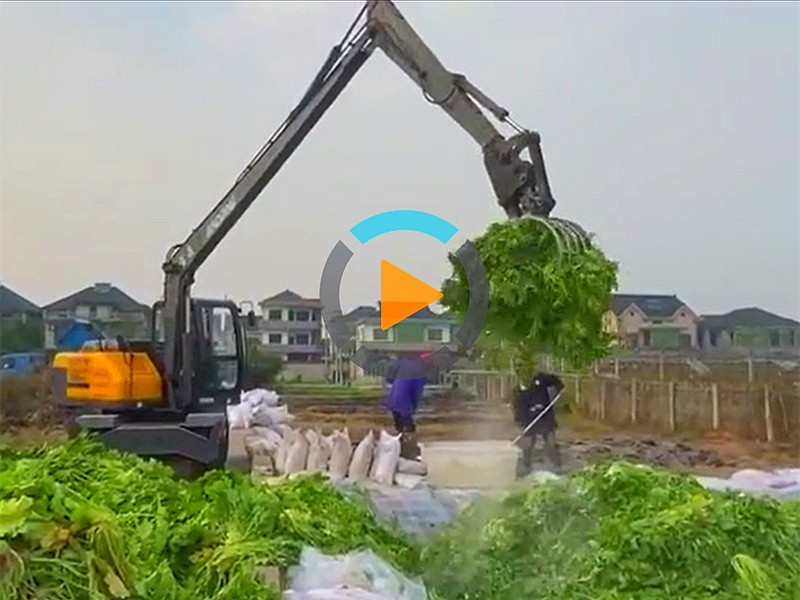 定制款長(zhǎng)臂抓菜機(jī)