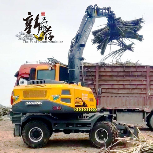 寶鼎120輪式抓木機(jī)實車圖片
